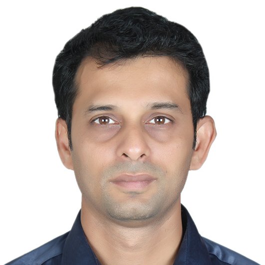 Rahul P Ambegaokar