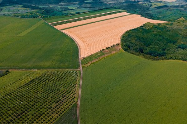Drone Applications